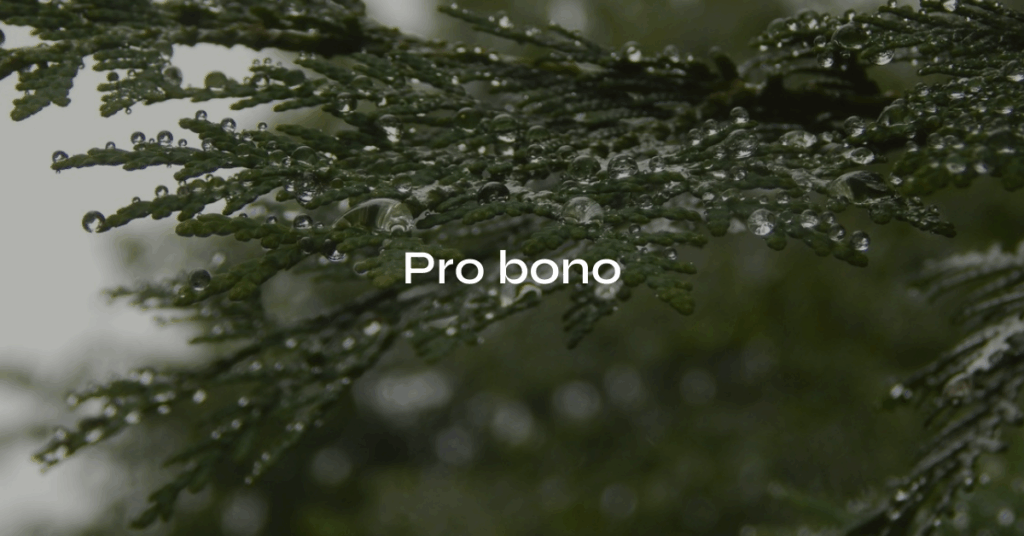 Loivan vuoden 2026 pro bono -haku